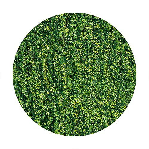 Renaiss 3x3ft Green Leaves Round Backdrop Covers for Photoshoot Man Woman Portrait Foliage Wall Circle Photography Background Wedding Baby Shower Newborn Birthday Party Decor Photo Booth Props - Image 4