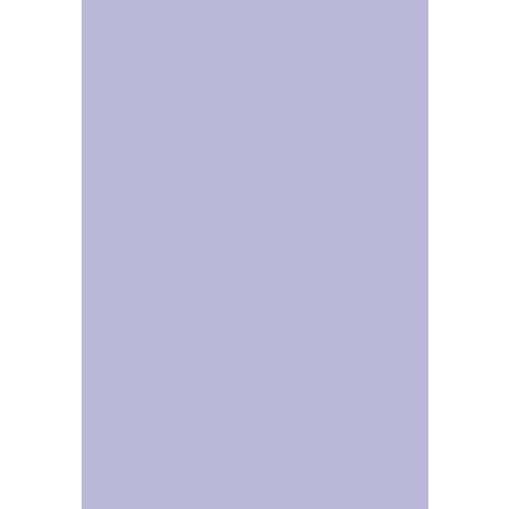 Renaiss 4x6ft Pure Violet Backdrop for Photoshoot Portrait Solid Color Monochrome Light Purple Screen Photography Background Lilac Purple Baby Shower Wedding Birthday Party Decors Photo Booth Props - Image 4